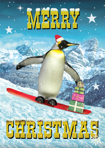 Snowboard Penguin Pack of 5 Christmas Cards by Max Hernn
